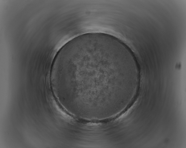 X0000089921513200707061009