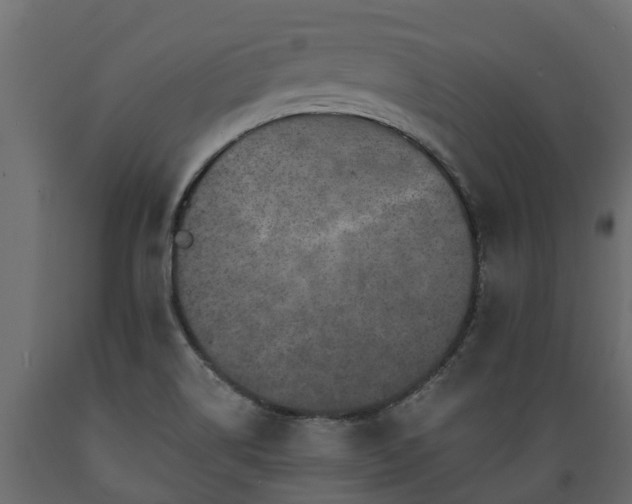 X0000089921514200707061009
