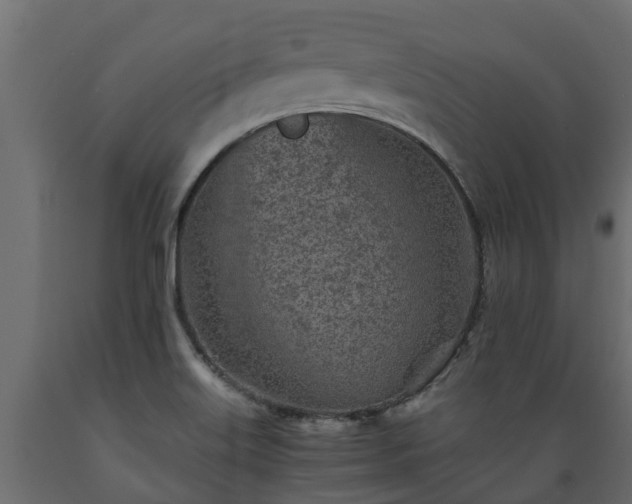 X0000089921515200707061009