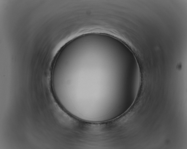 X0000089921518200707061009