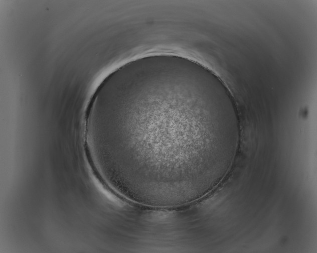 X0000089921519200707061009