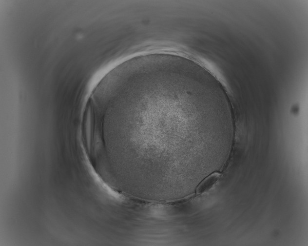 X0000089921520200707061009
