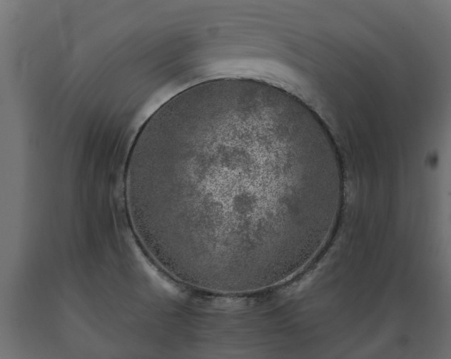 X0000089921521200707061009