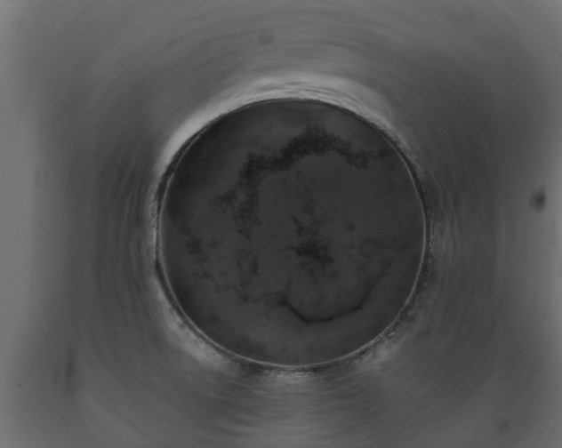 X0000089921522200707061009