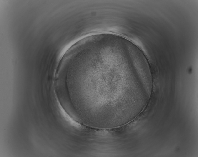 X0000089921524200707061009