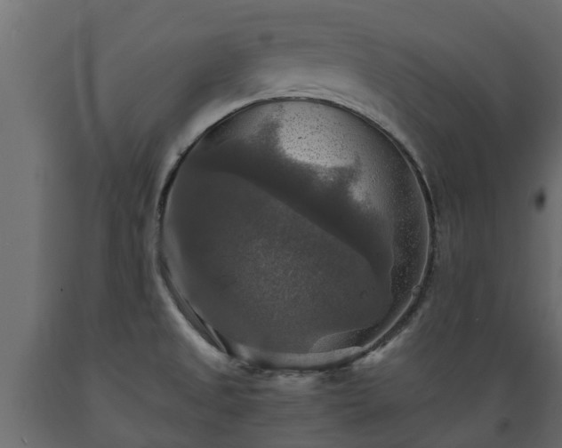 X0000089921525200707061009