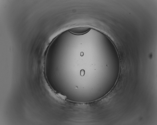 X0000089921526200707061009