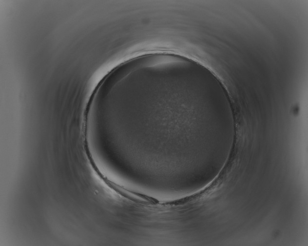 X0000089921527200707061009