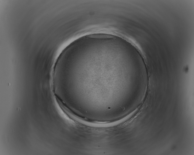 X0000089921528200707061009