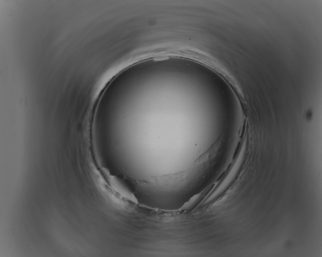 X0000089921530200707061009