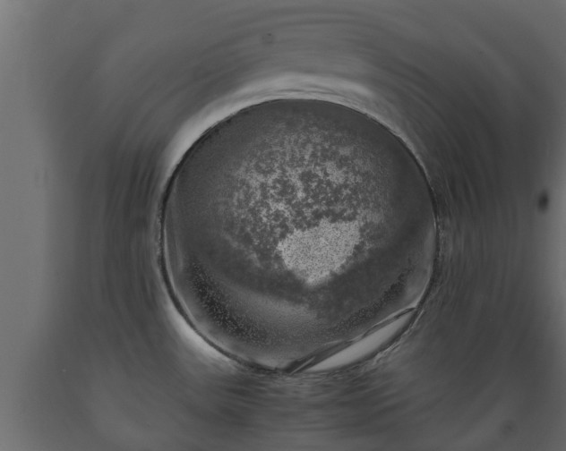 X0000089921531200707061009