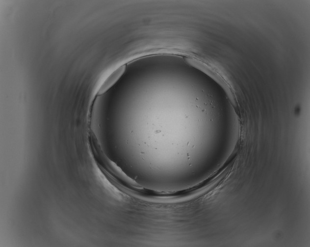 X0000089921532200707061009