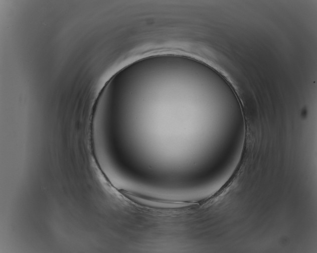X0000089921534200707061009