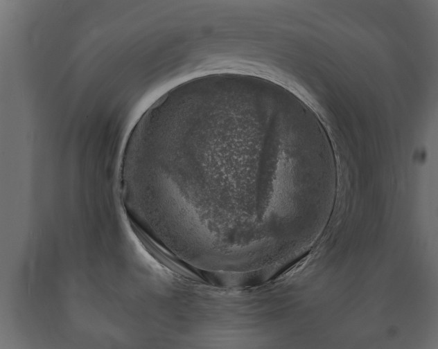 X0000089921536200707061009