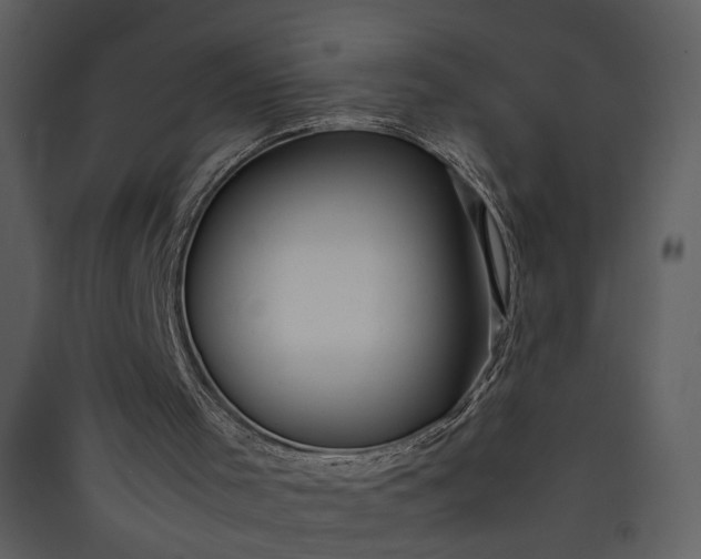 X0000089920001200707131421