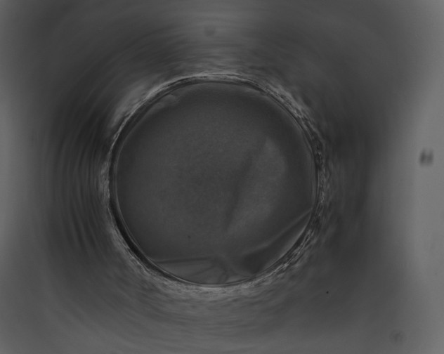 X0000089920002200707131421