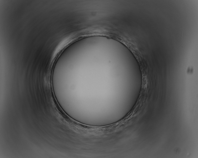 X0000089920004200707131421