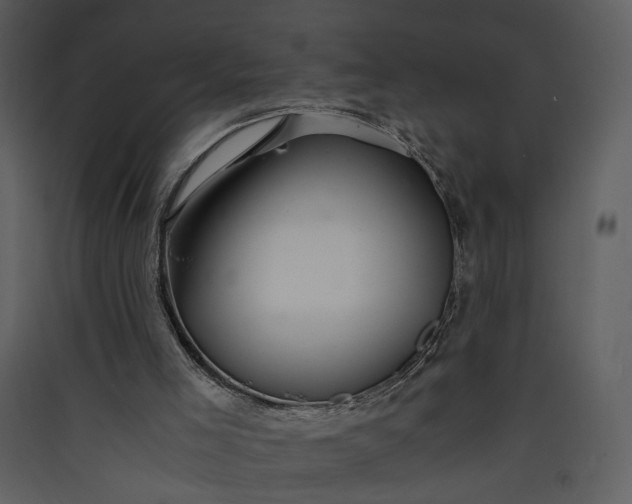 X0000089920005200707131421