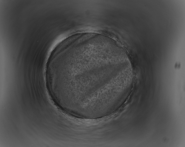 X0000089920006200707131421