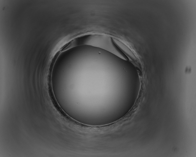 X0000089920007200707131421