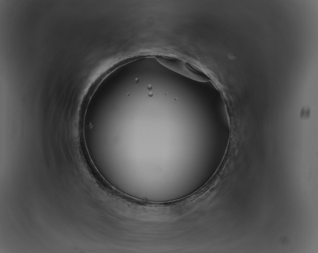 X0000089920008200707131421