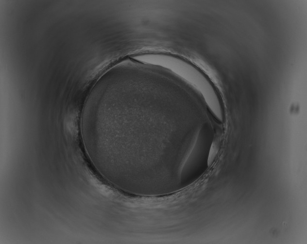 X0000089920009200707131421