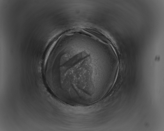 X0000089920010200707131421