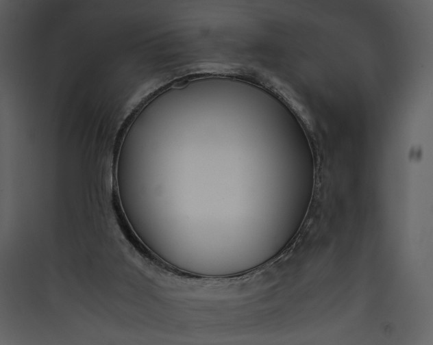 X0000089920011200707131421