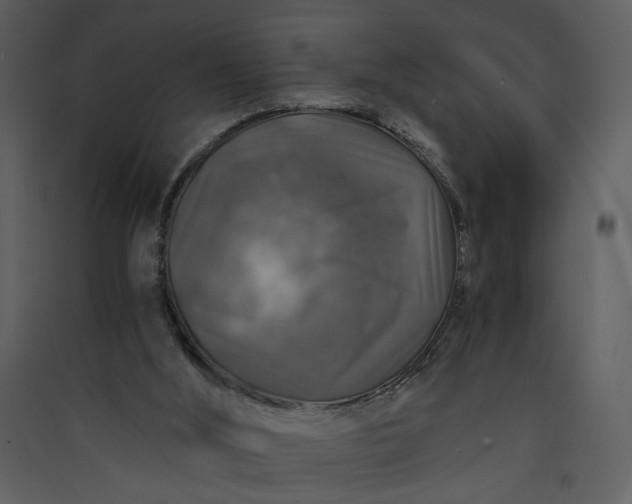 X0000089920012200707131421