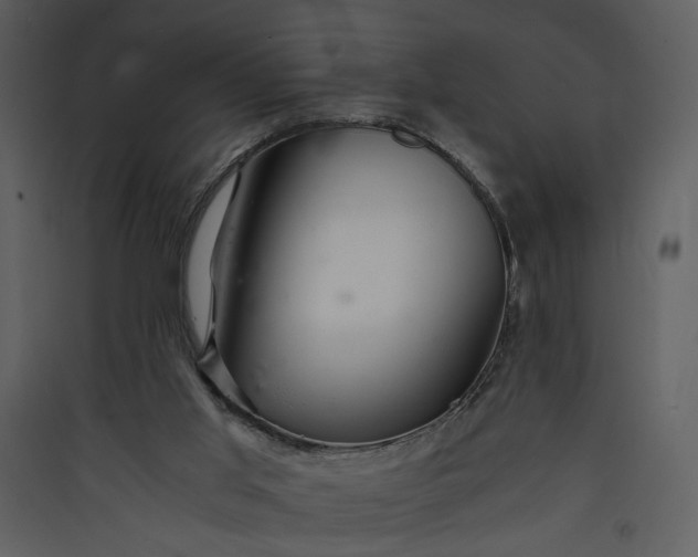 X0000089920013200707131421