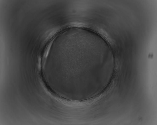 X0000089920014200707131421