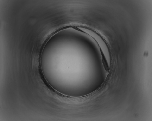 X0000089920015200707131421
