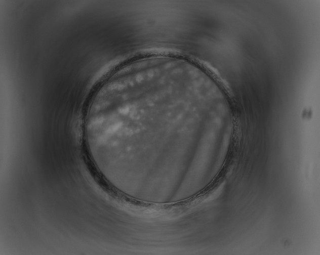 X0000089920016200707131421