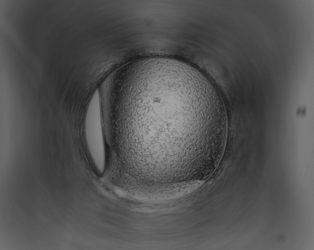 X0000089920017200707131421