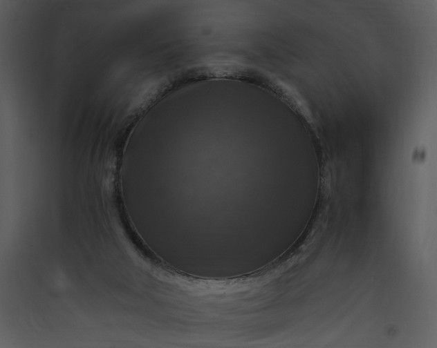 X0000089920018200707131421