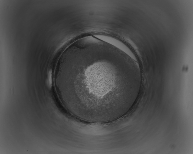 X0000089920020200707131420
