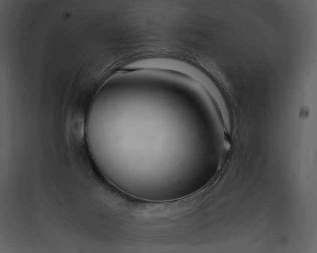 X0000089920021200707131420