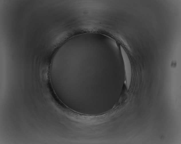 X0000089920023200707131420