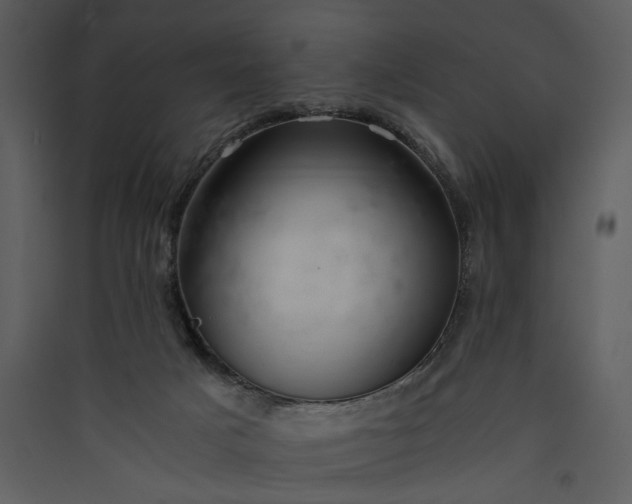 X0000089920025200707131420