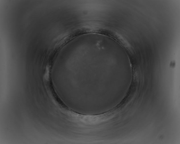 X0000089920026200707131420