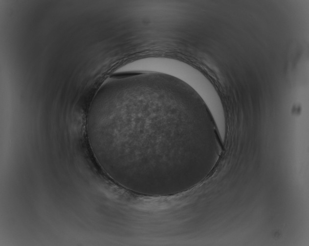 X0000089920029200707131420