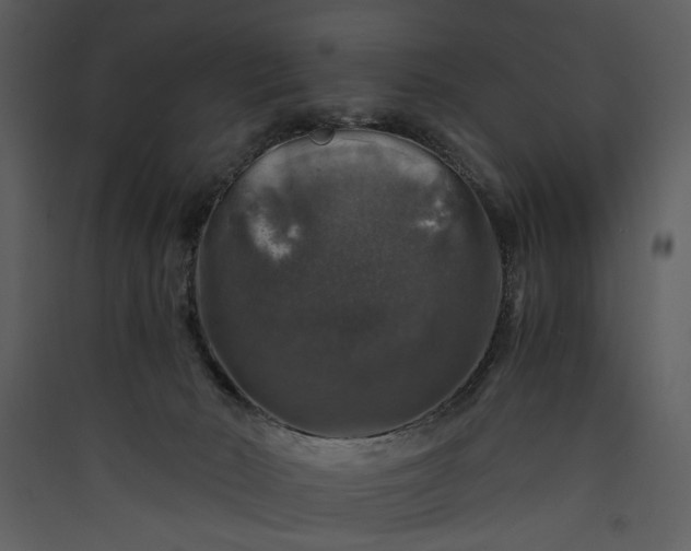 X0000089920030200707131420