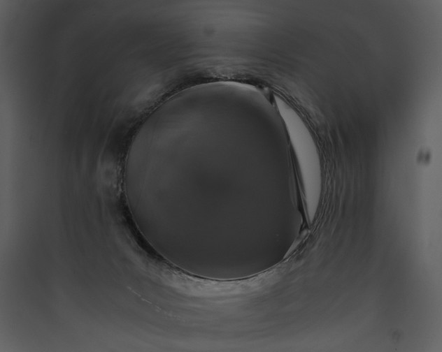 X0000089920031200707131420