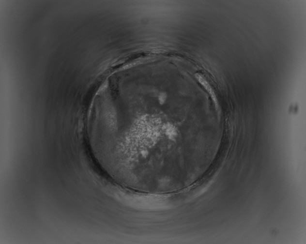 X0000089920032200707131420