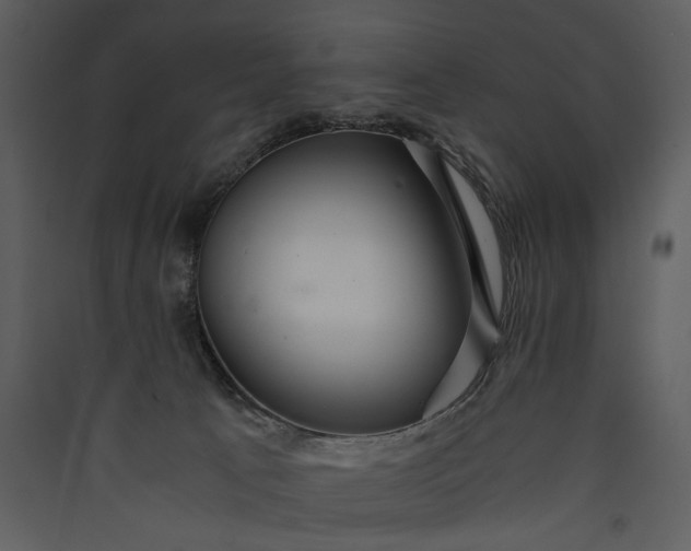 X0000089920033200707131420