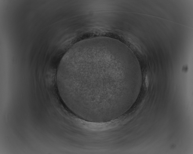 X0000089920034200707131420