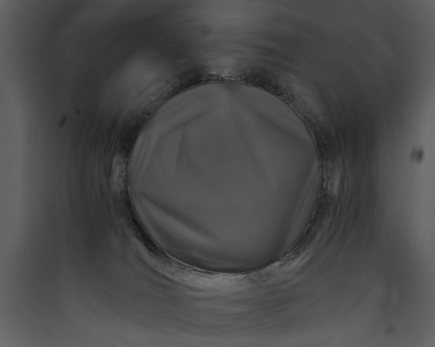 X0000089920036200707131420