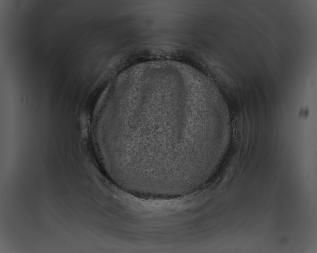 X0000089920038200707131420