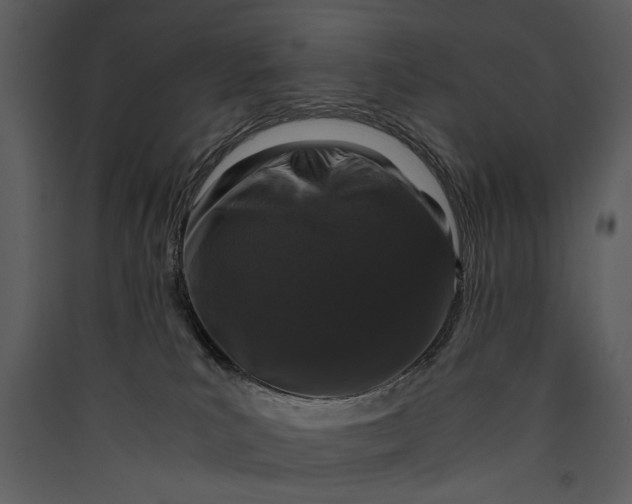 X0000089920039200707131420