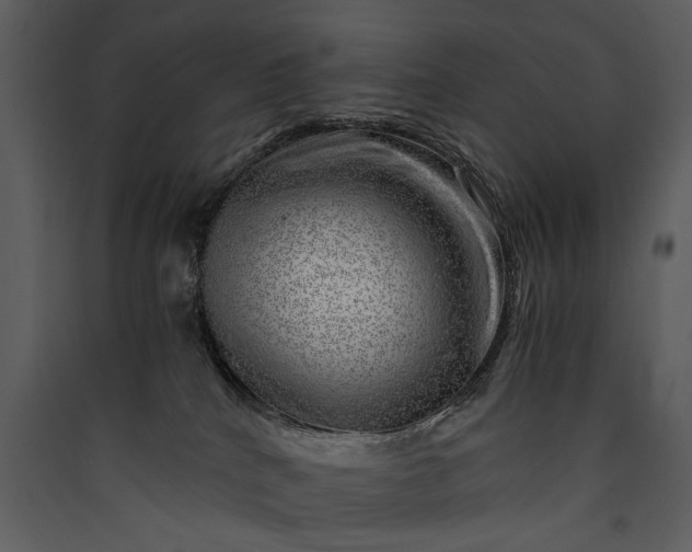 X0000089920040200707131420